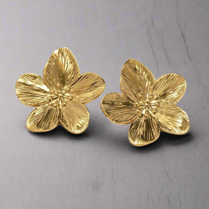 حلق روشان ✨