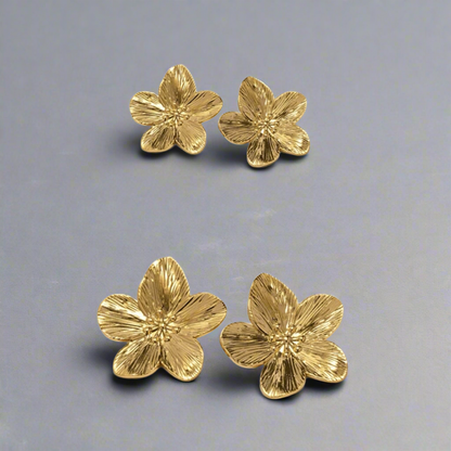 حلق روشان ✨